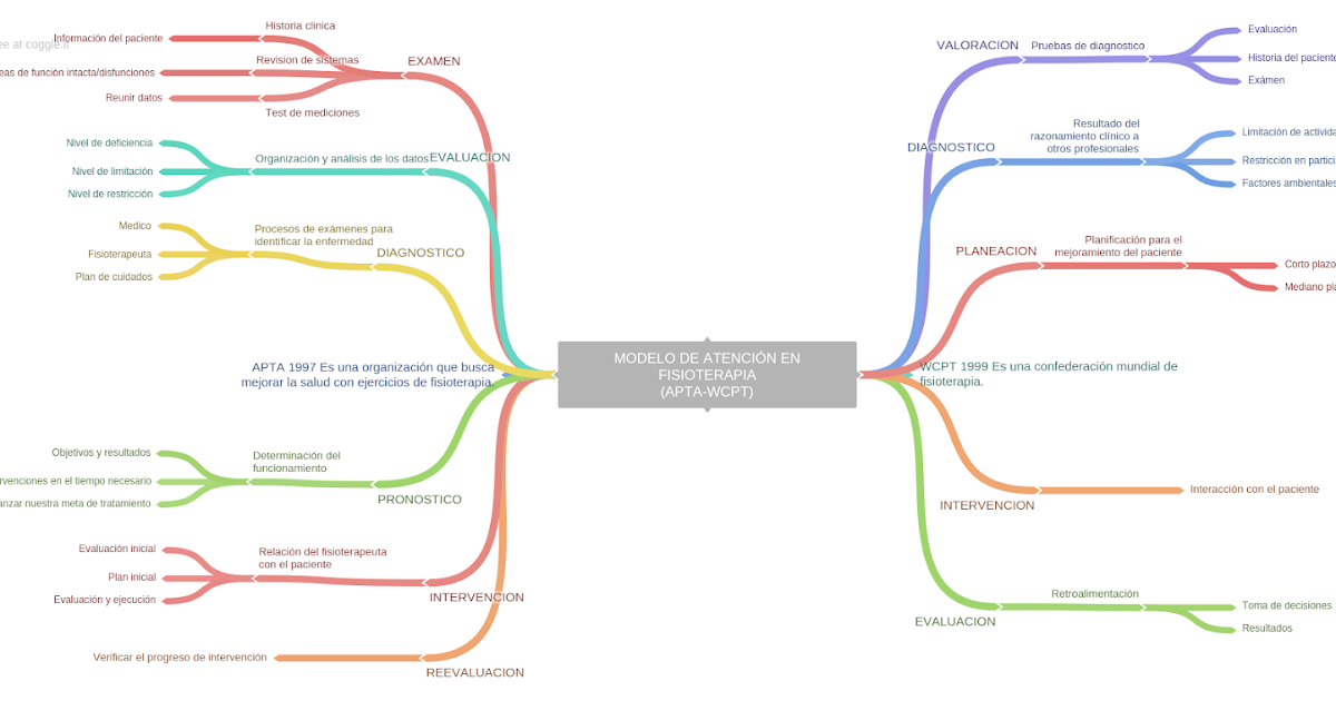 fisioterapia basada en la evidencia MODELO DE ATENCIÓN EN FISIOTERAPIA