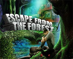 Juegos de Escape Escape From Forest