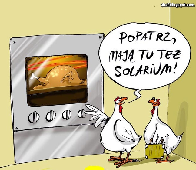 https://3.bp.blogspot.com/-vUJMkuOqu1Y/UY_a1-OrRkI/AAAAAAAAEsU/Qt5eTzKRAtA/s1600/Solarium.jpg