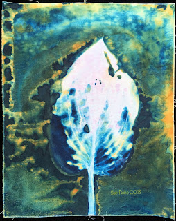 Wet cyanotype_Sue Reno_Image 381
