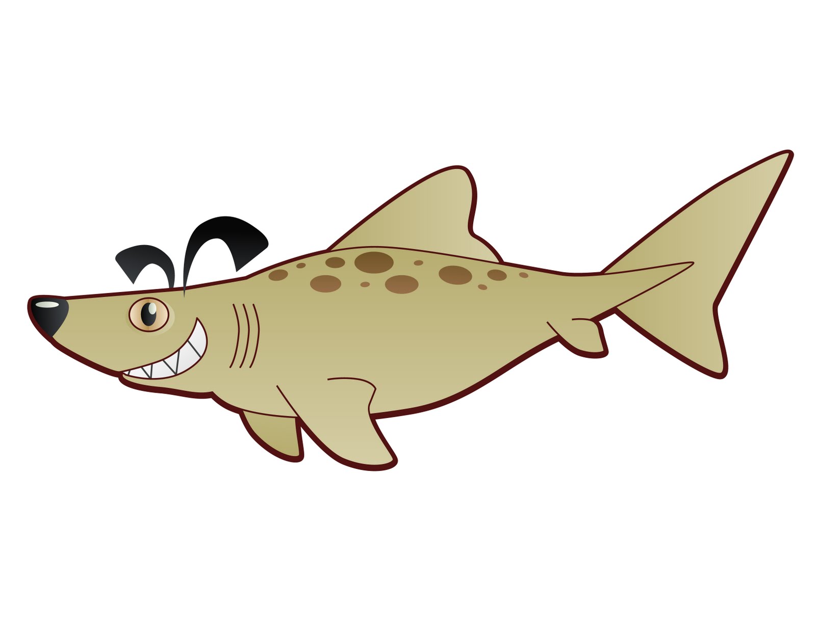 The Best Shark Dive in the World! January 2012