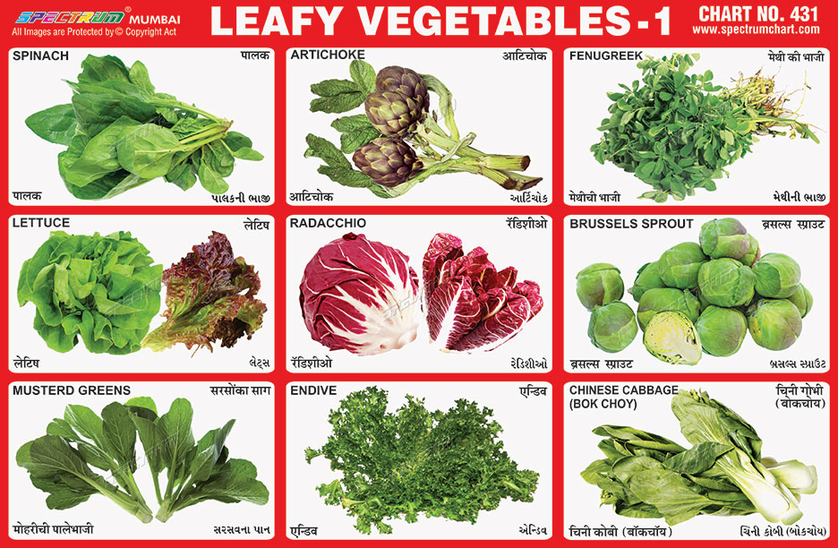 Spectrum Educational Charts: Chart 431 - Leafy Vegetables 1