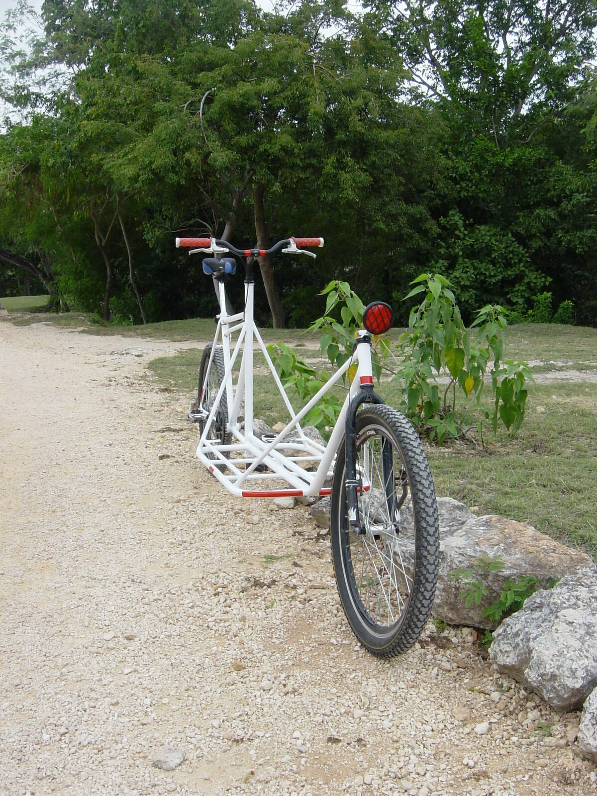 mexican cargo bike for sale