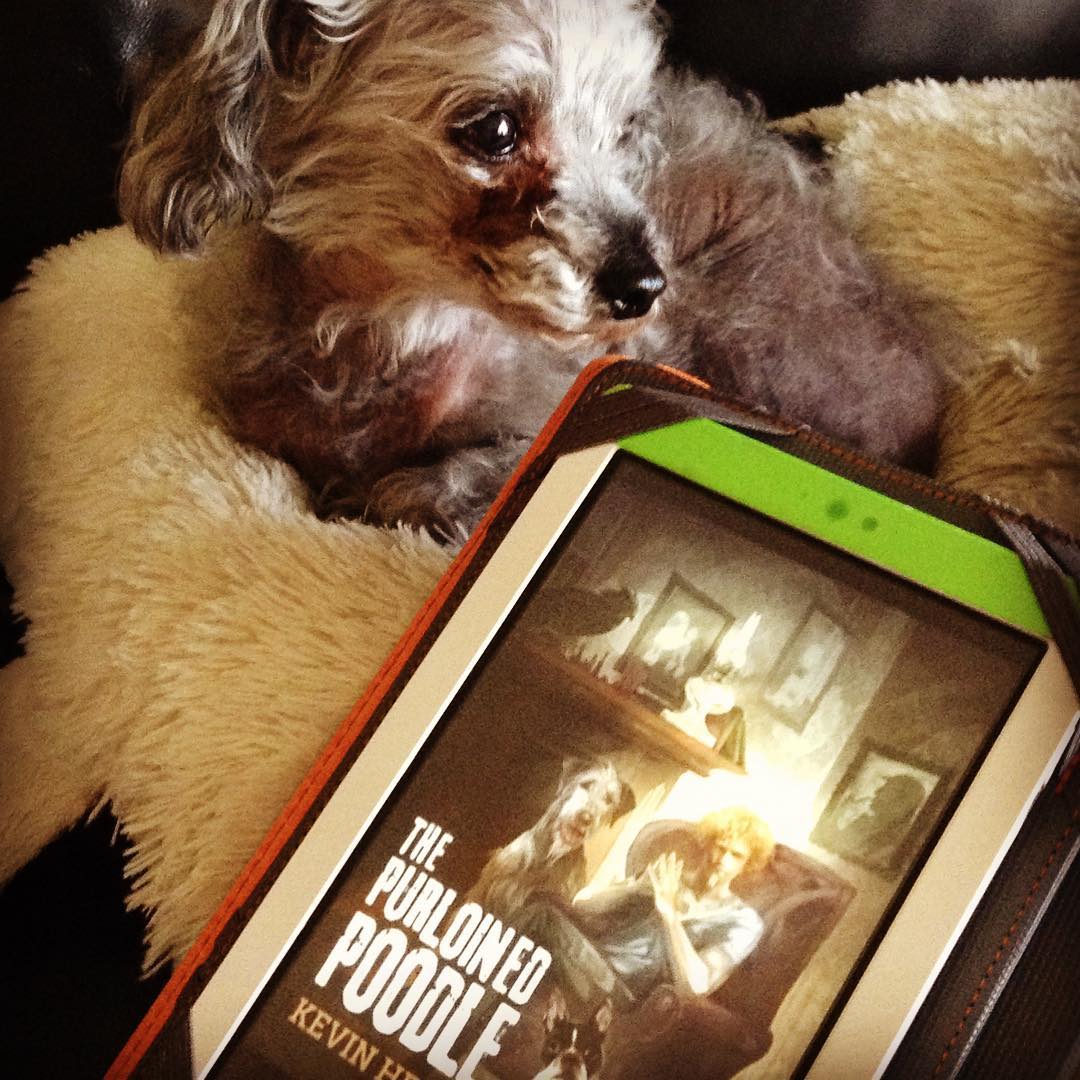 The Purloined Poodle : Oberon's Meaty Mysteries by Kevin Hearne (2016) The Purloined Poodle : Oberon's Meaty Mysteries by Kevin Hearne (2016)