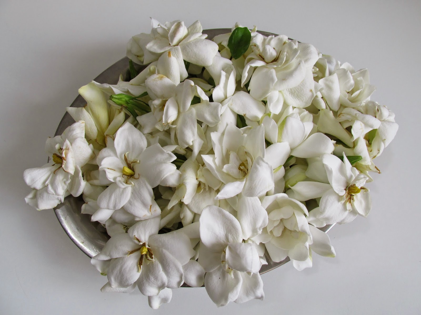 Flores comestíveis: Gardênia faz geléia perfumada