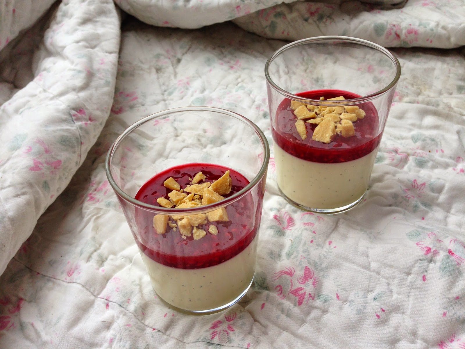Colorful Fun Living Verdens bedste panna cotta med hindbærcoulis og