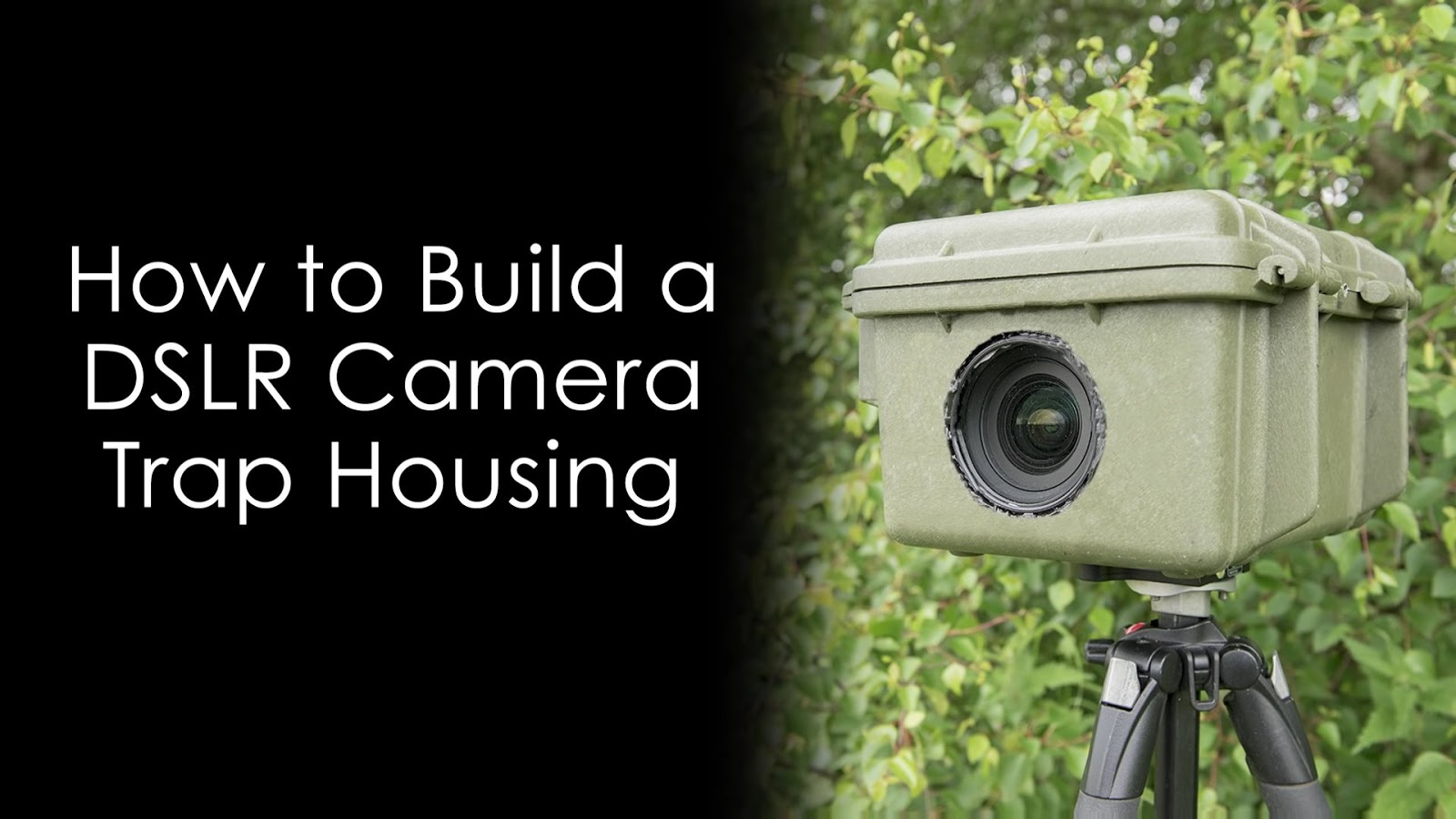 How to Make a DSLR Camera Trap Housing Blog Photography Tips ISO