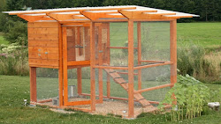 chicken coop building build diy plans easy wire chickens coops own fun designs cheap backyard un poulailler pen walk better