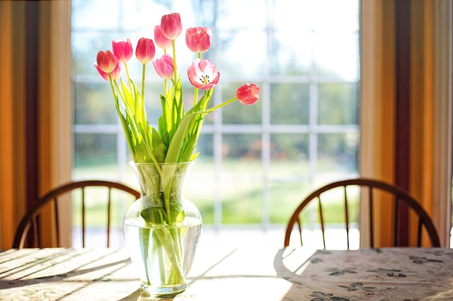 flowers, tulips, petal loss