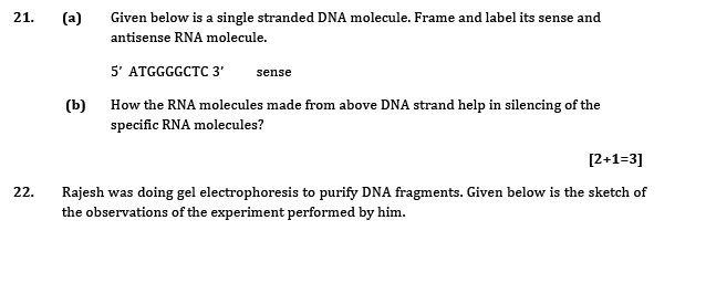 Sample Question paper for class 12 Biology