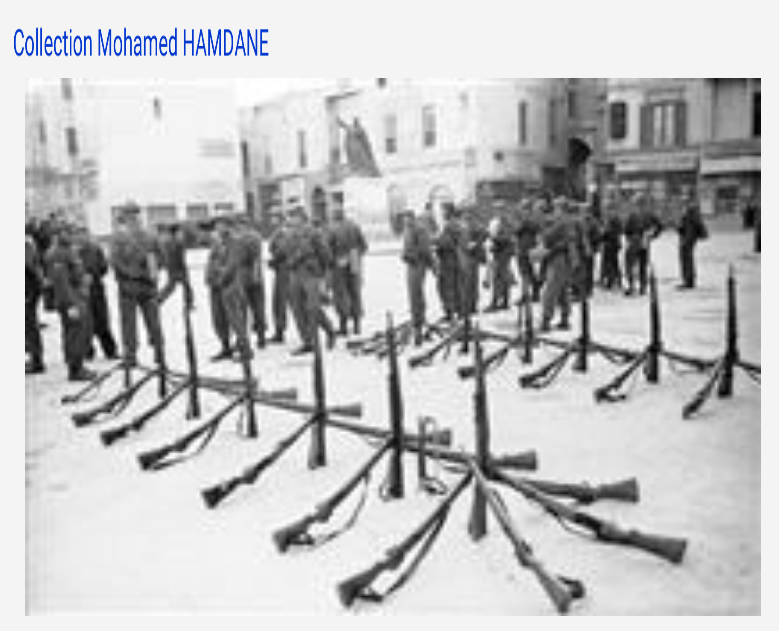 CULTURE et PATRIMOINE DE TUNISIE EN IMAGES MOHAMED HAMDANEثقافة وتراث