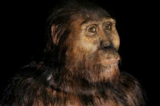 Manusia Purba Australopithecus afarensis atau lucy