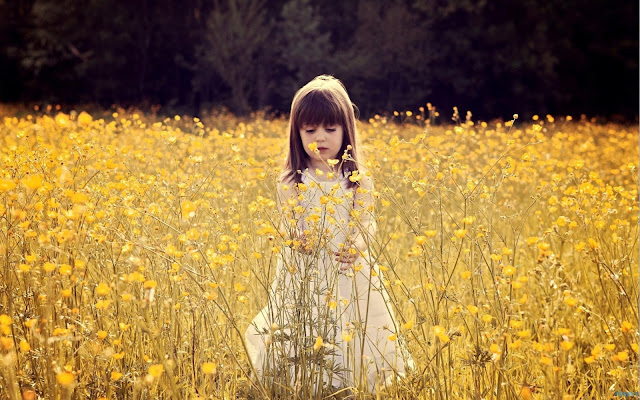 Cute Little Girl In The Flower Field