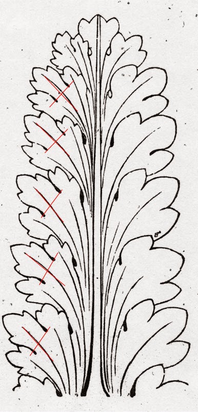 art+works: Acanthus Leaf #3- Forming the leaf part II