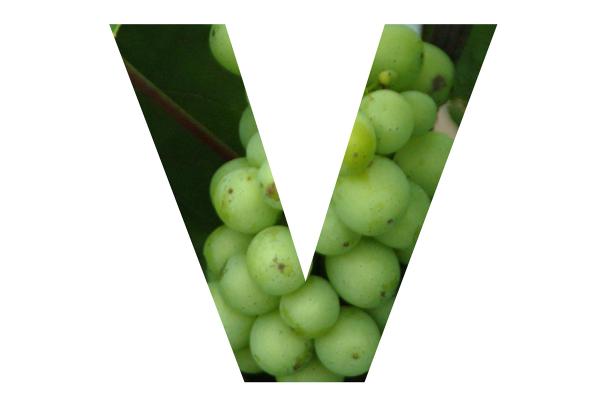 MYSTERIES in PARADISE: Crime Fiction Alphabet 2011 - Letter V - week