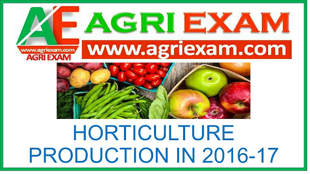 Horticulture production 2016-17