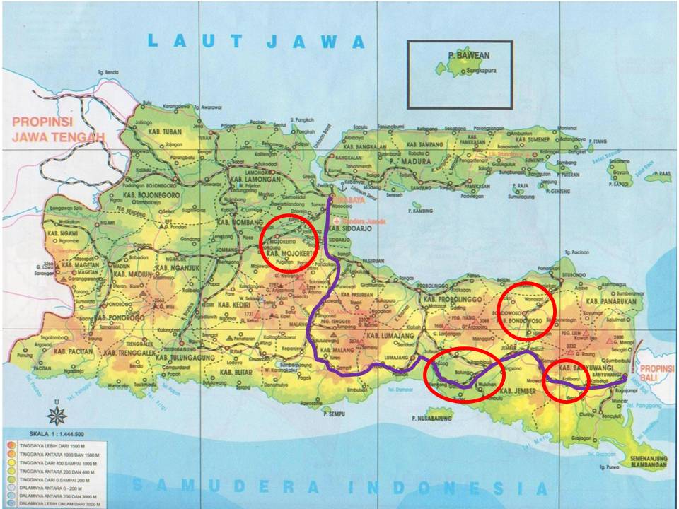 PARAGRAF LEPAS: The Enchanting East: Our journey to Parts of East Java ...
