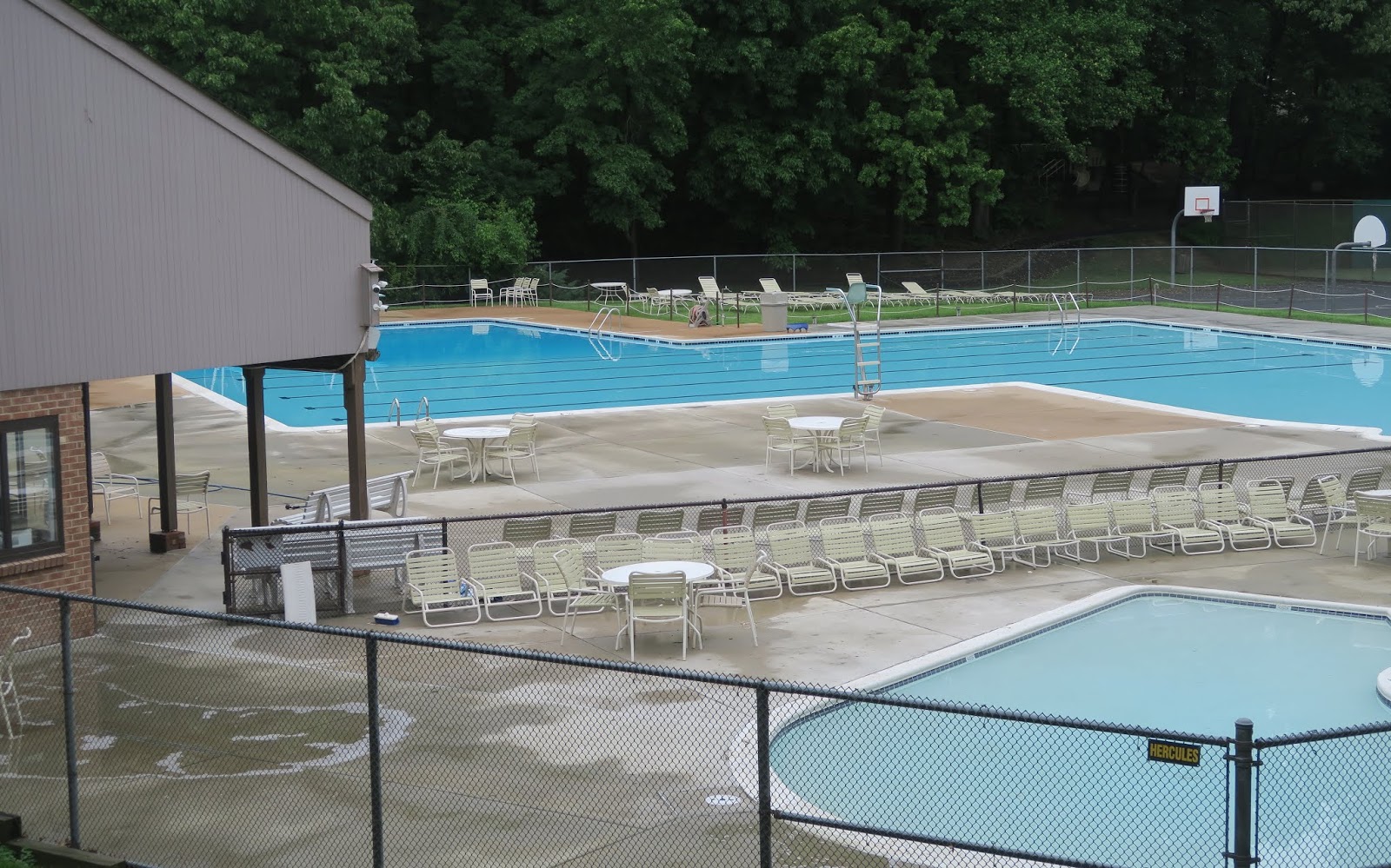 the Annandale Blog Truro celebrates 50th anniversary