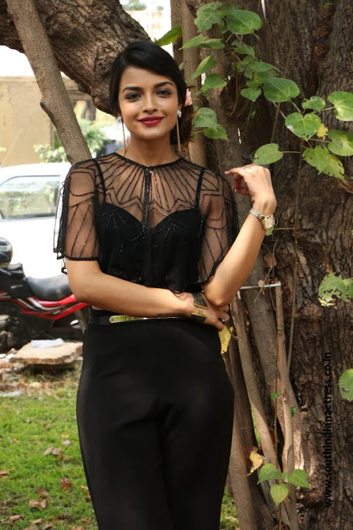 Ashna Zaveri stills at Nagesh Thiraiyarangam press meet