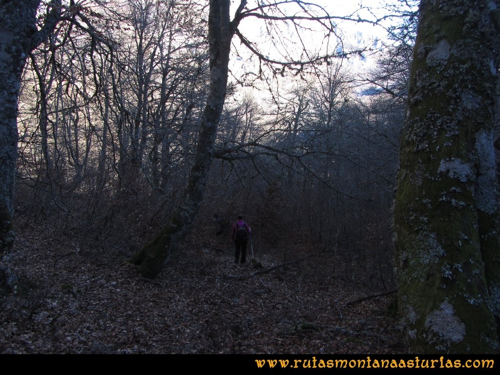 Pico Mosquito desde Tarna: Camino al sendero para atravesar bosque