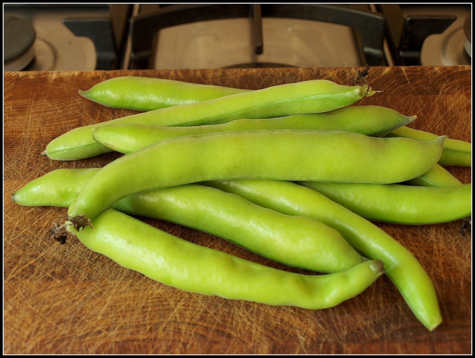 Mark's Veg Plot Broad Beans