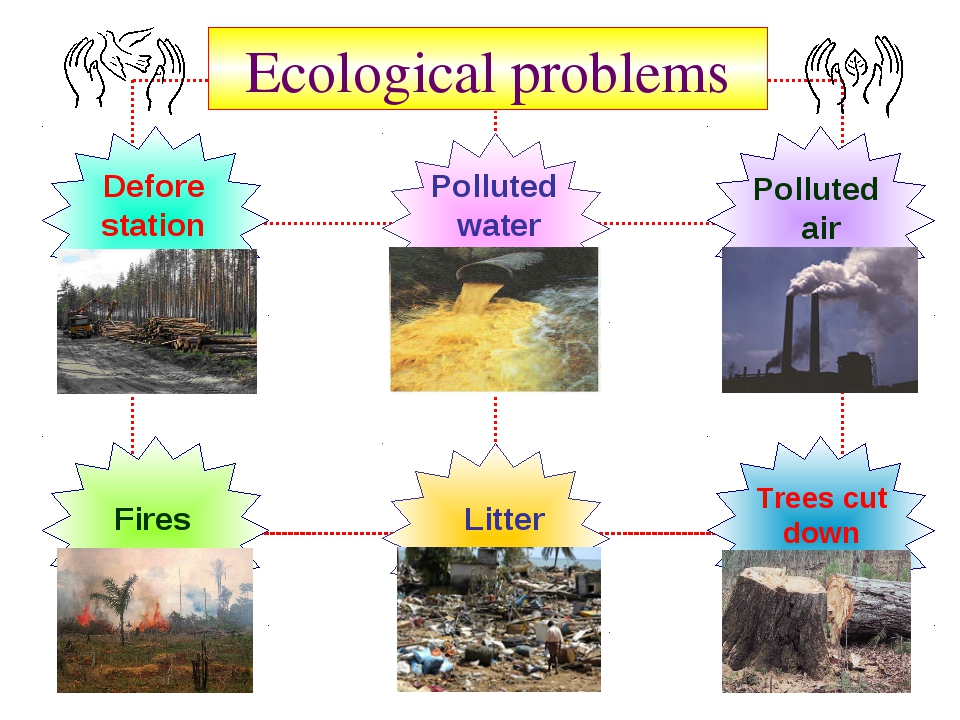 Проблемы экологии 10 класс английский