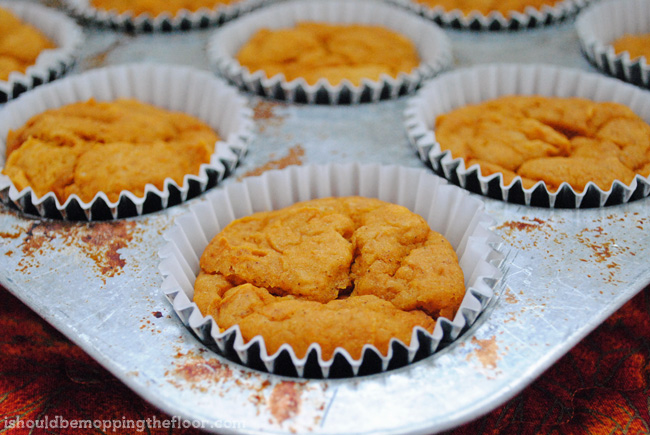 Skinny Pumpkin Spiced Muffins: 2 Weight Watchers Points Plus per serving {ONLY THREE INGREDIENTS!}