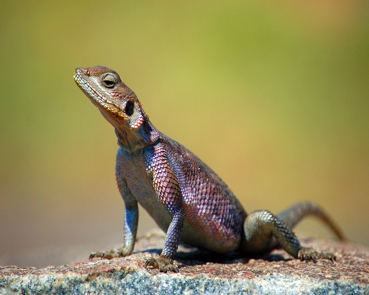 kane blog picz: Fpj Wallpaper