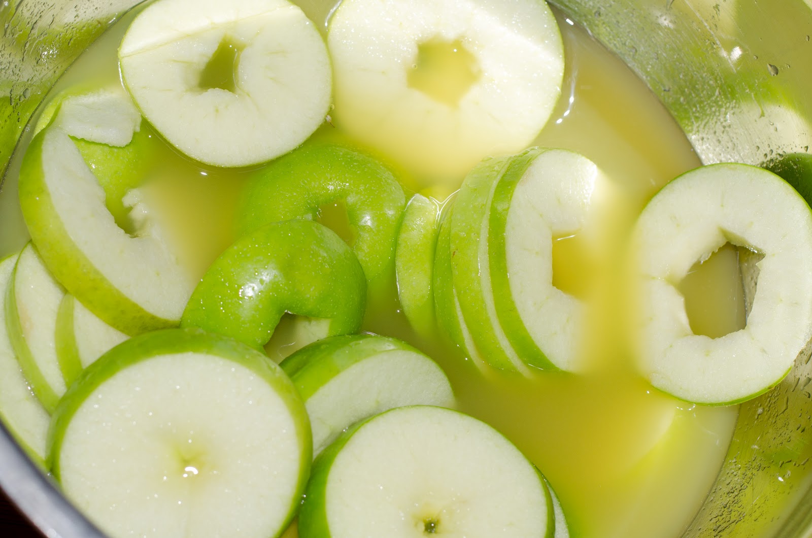 The Primal Mom Quick and Healthy Apple Preservation