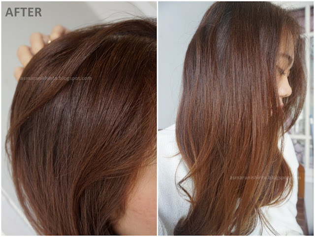 review Beautylabo Hair Color Pure Beige