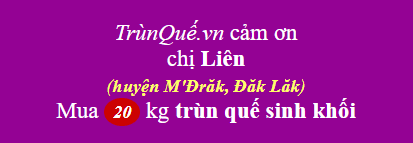 Trùn quế huyện M'Đrăk