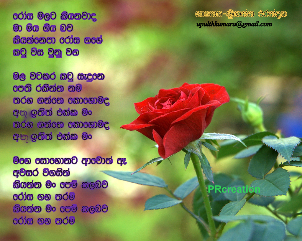 Sinhala Lyrics සිංහල ගී පද: rosa malata kiyanawada