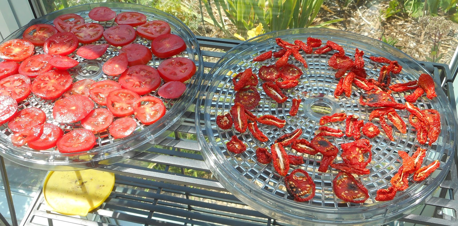 sun dried tomatoes