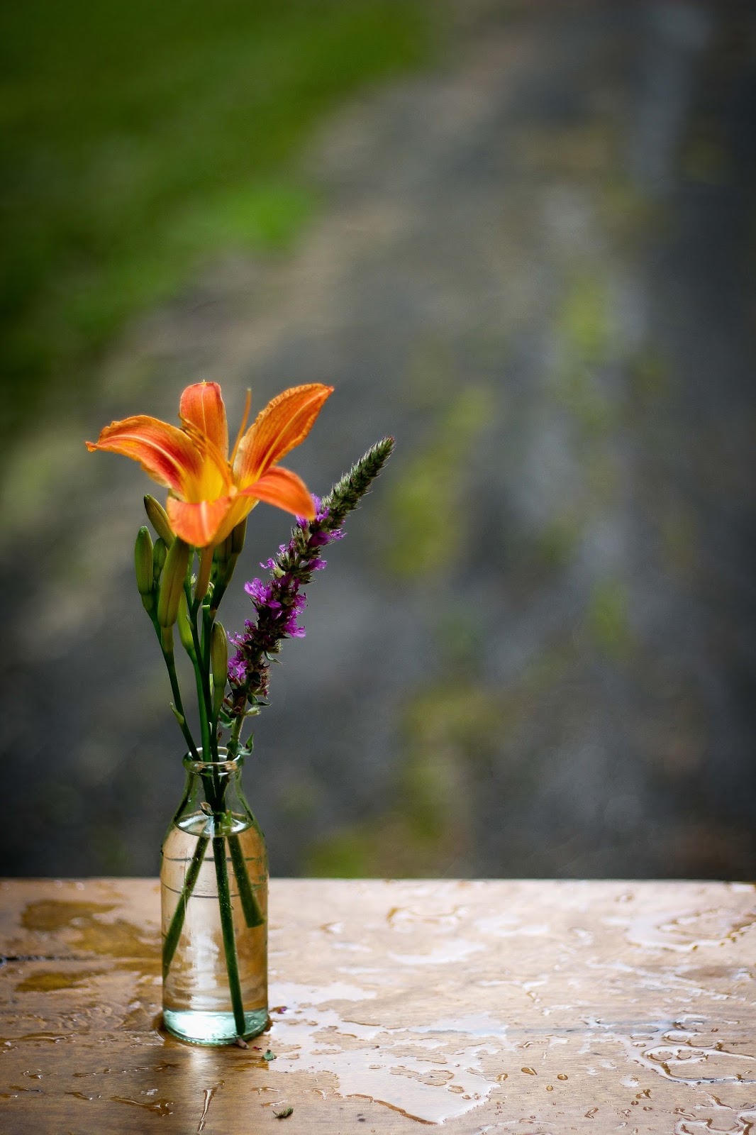 Le Petit Bouquet De Fleurs Des Champs Lifestyle Yellow Cat