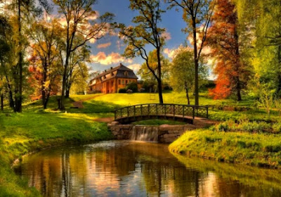Dekstop Wallpaper: Cottage In The Forest Wallpaper - May