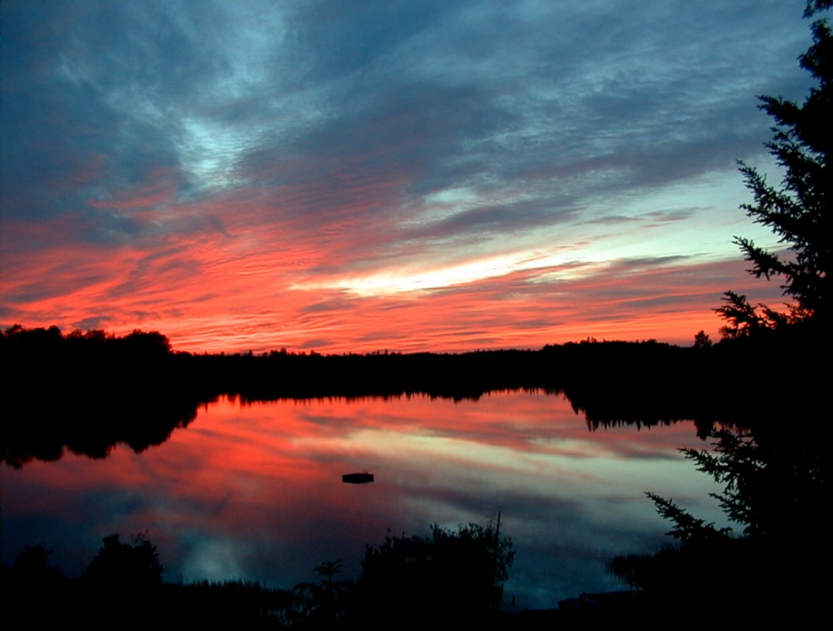 Beautiful Lake With Deer Photo All HD Wallpapers