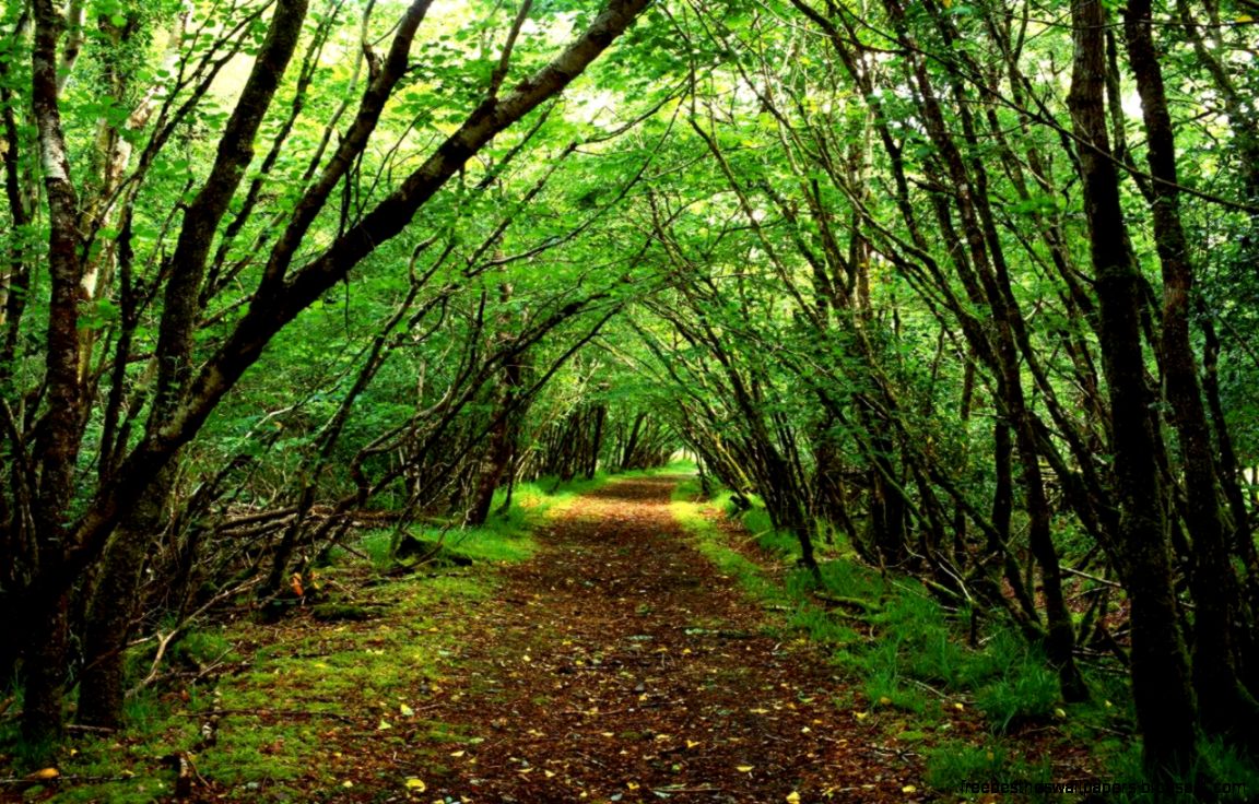 Scenic Backgrounds Pictures   Wallpaper Cave