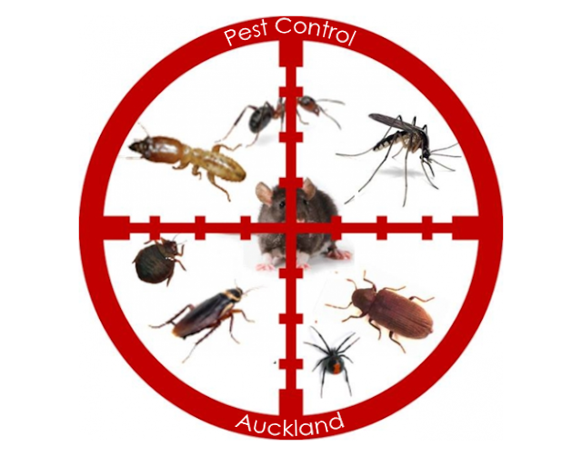 Pest Control House Wash Rodent & Bug Control Services in Auckland