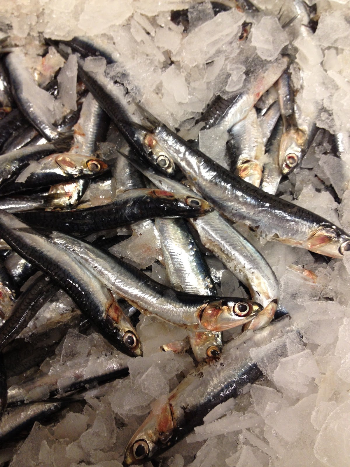 The Edible Ocean Don't Hold The Anchovies