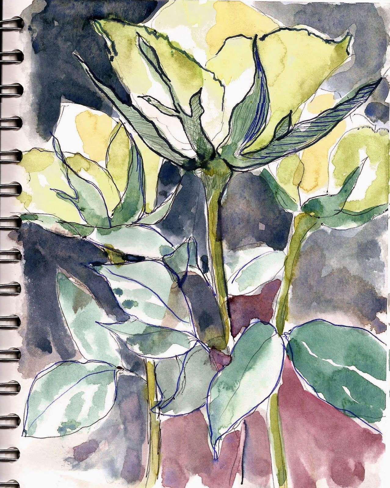 seawhite sketch books seawhite sketch books