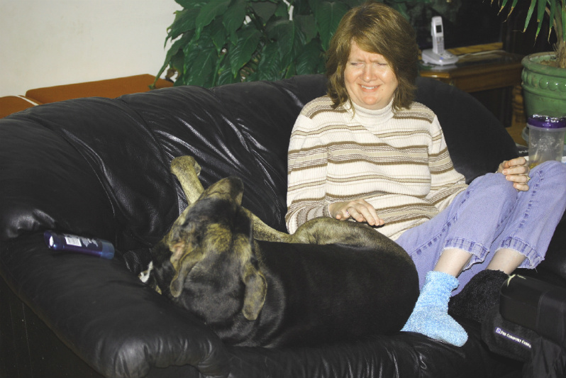 Stuff could always be worse Scared HorseDog Jumps on the Couch