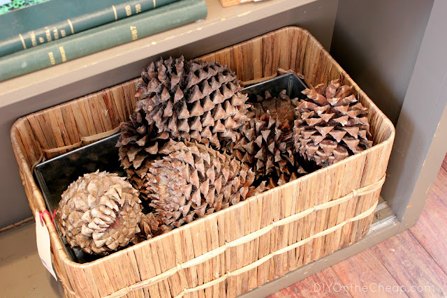 Huge Pine Cones, spotted inside The Paris Market in Savannah