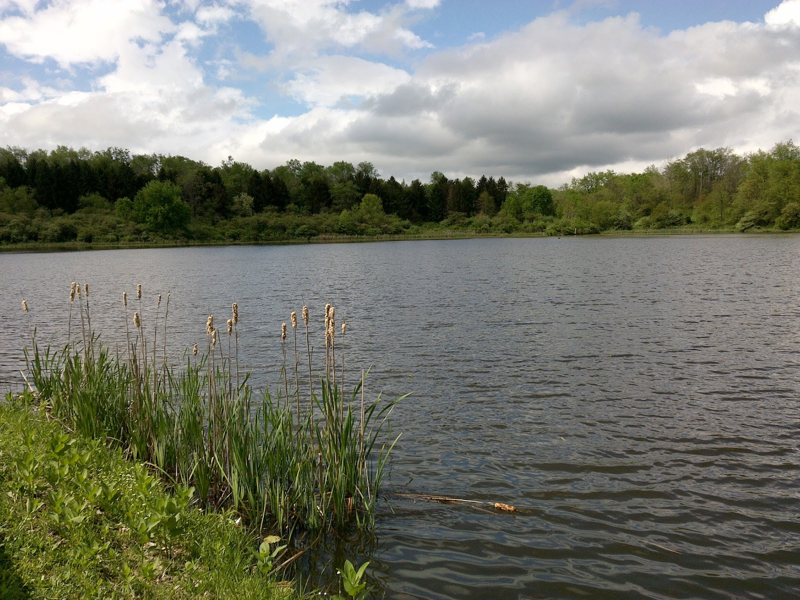 Heart and Sole Salt Fork Wildlife Management Area a secret hike