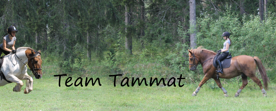 Team Tammat