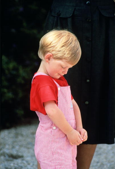 Princess Diana S Dog Princess Diana S Dog