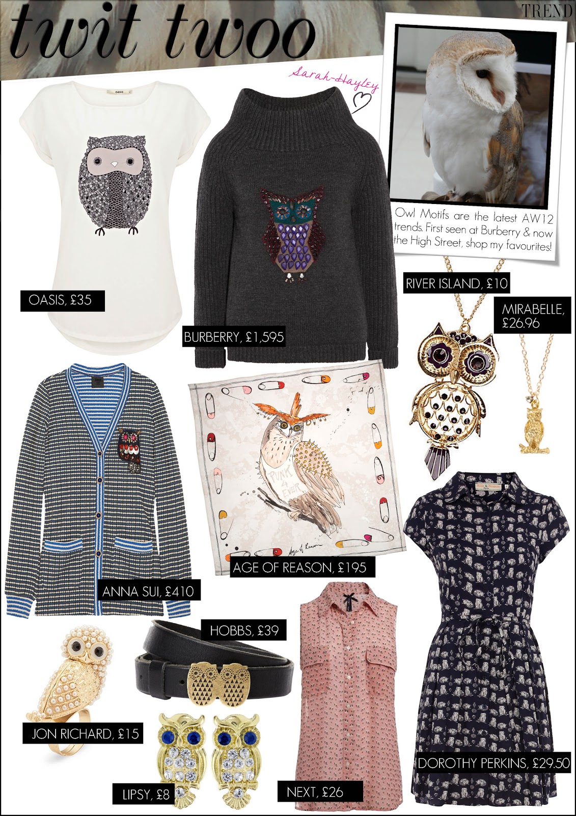 AW12 Trend - Burberry's Owl Motif - by Sarah-Hayley Owen