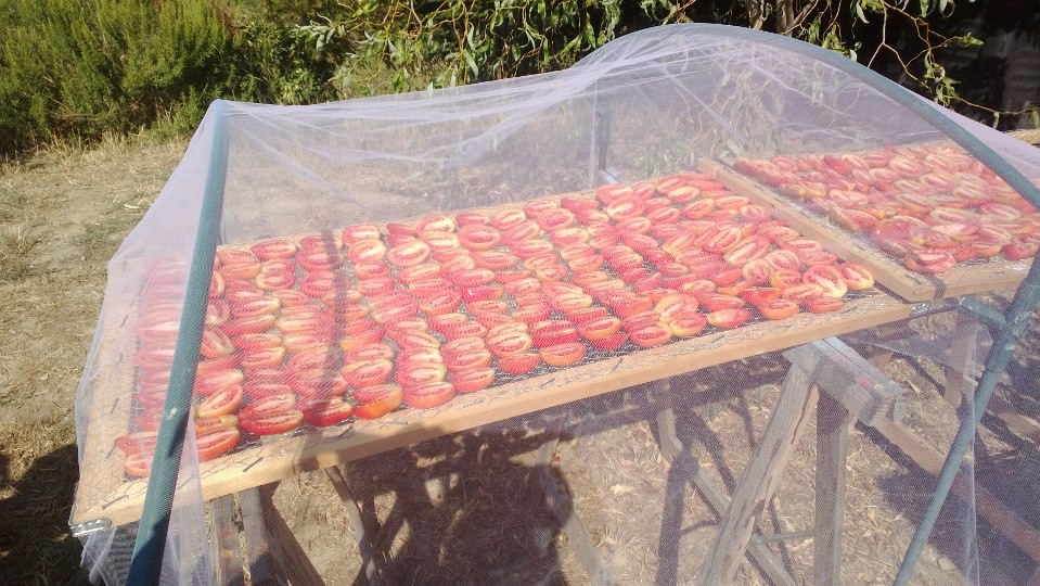 Enjoy Life Essiccare, che passione!