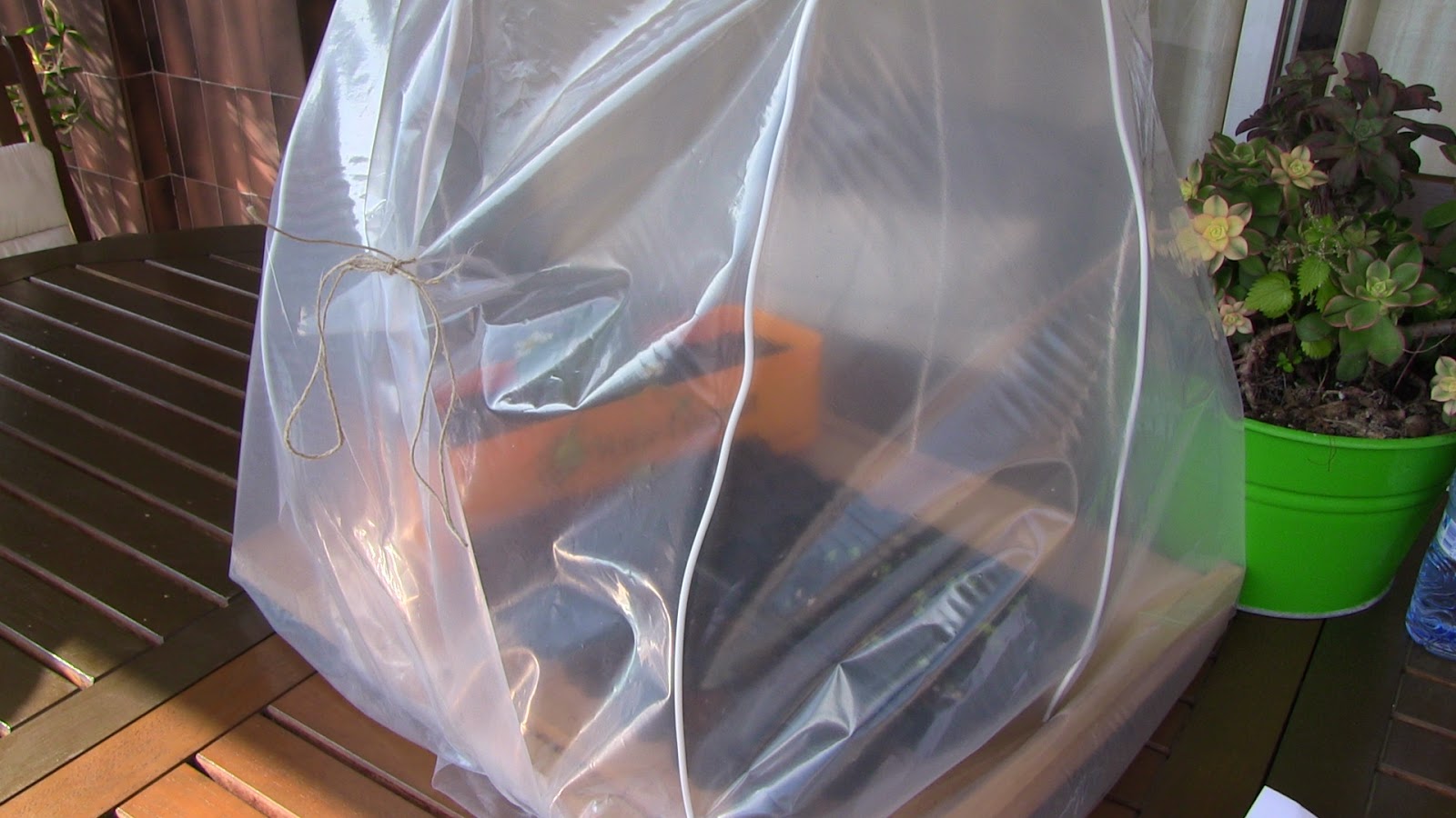 Tu huerto Urbano: Como crear un pequeño invernadero