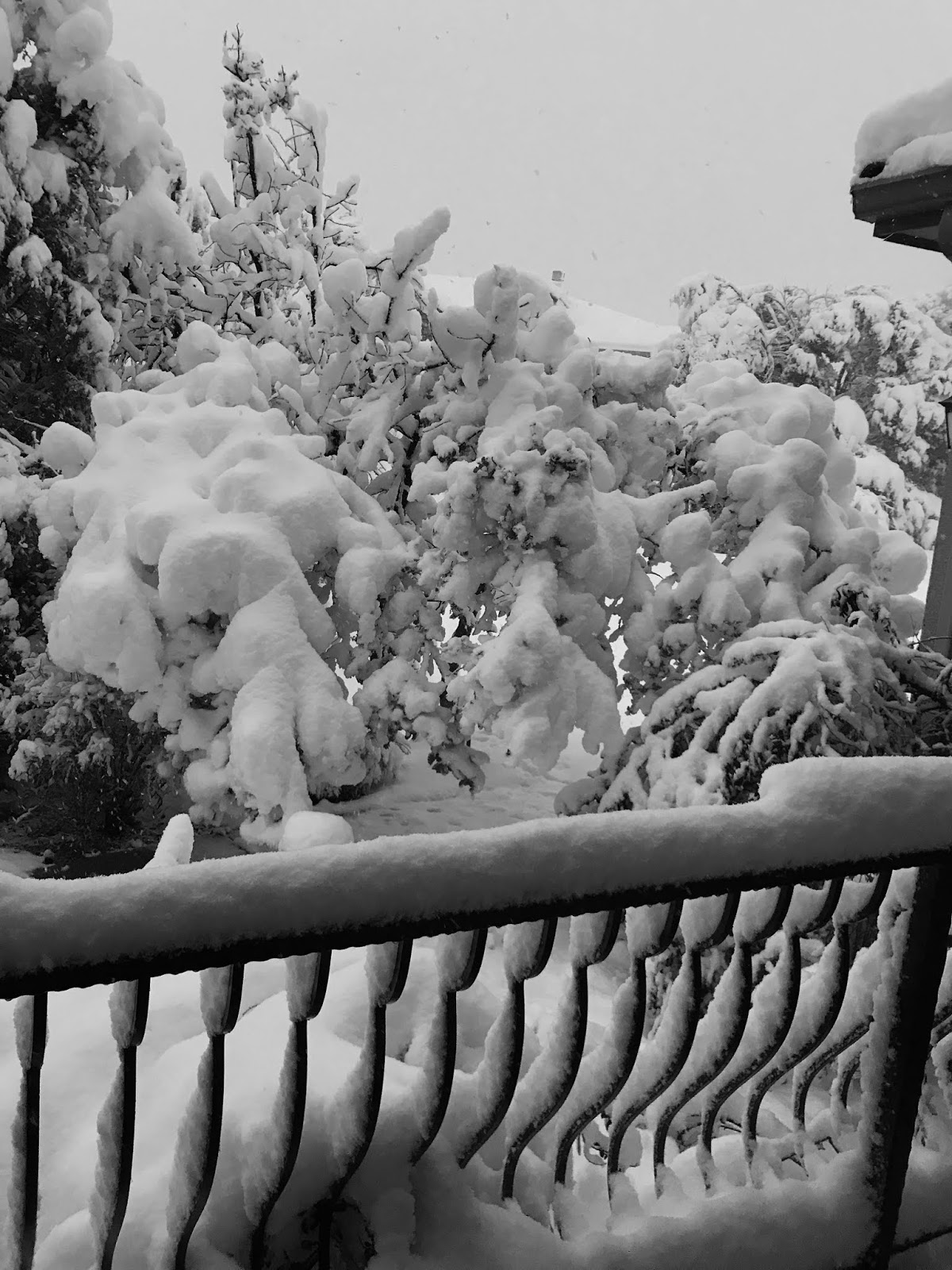 Colorado Springs EV Club Got snow tires?