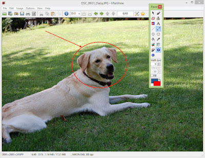 IrfanView Free Download For Windows